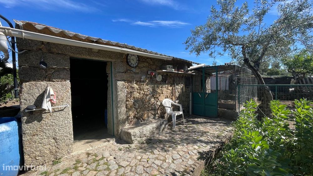 Terreno Rústico | Lousa CTB, Castelo Branco