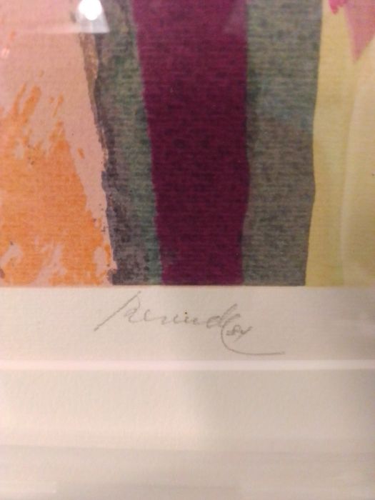 J. Resende / Serigrafia64862467282818124