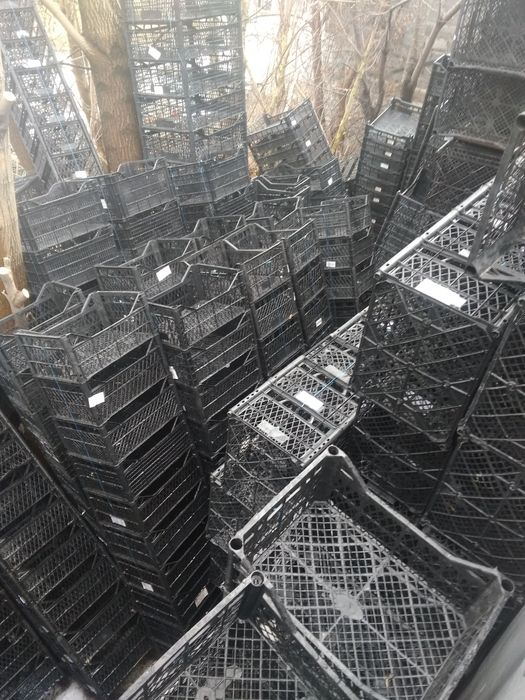 Ящики пластикові