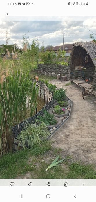 Продам господарство в селещі Котельва