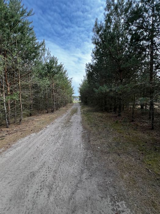Działka z warunkami zabudowy