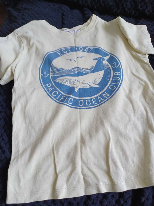 T shirt dla chłopca - wieopak 10 sztuk