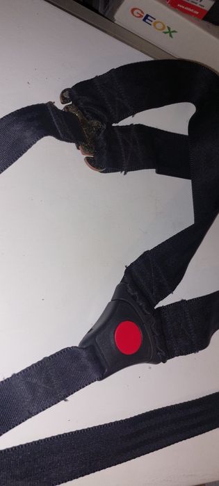 Cinto seguranç Cadeira Auto e Ovo Entrego Alfragide