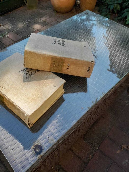 słownik  języka polskiego 2 grube tomy