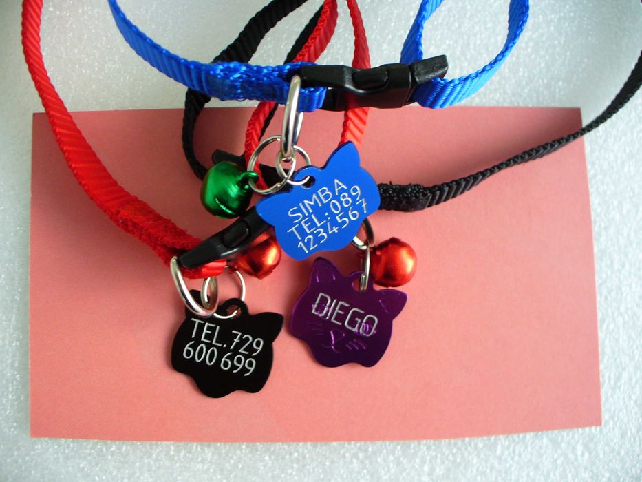 Adresówka dla kota z obrożą znaczek identyfikator z numerem telefonu obroża
