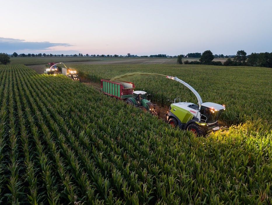 Koszenie kukurydzy na kiszonkę kompleksowo Claas Jaguar 960 x2 sieczka shredlage John Deere 8500 Poznań Bydgoszcz Szubin Wągrowiec Damasławek Żnin