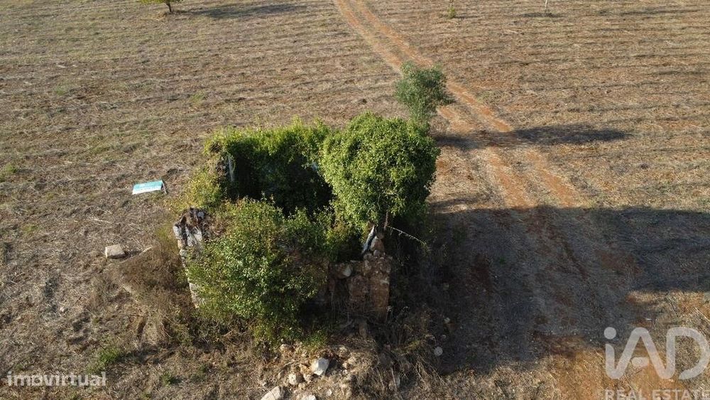 Terreno para construção em Areias e Pias de 8120,00 m2