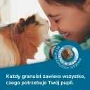 Beaphar Care+ Guinea Pig Super Premium karma dla świnki morskiej