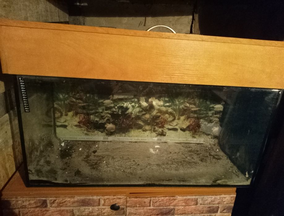 Akwarium 200l.z szafką I pokrywą w zestawie