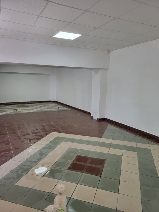 Фасад, Довженко, люба діяльність