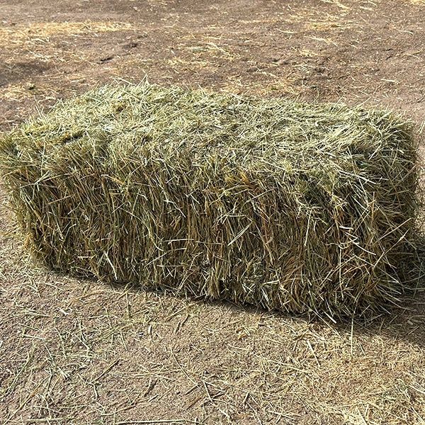 Сено в тюках, сіно в тюках, солома в тюках с привозом