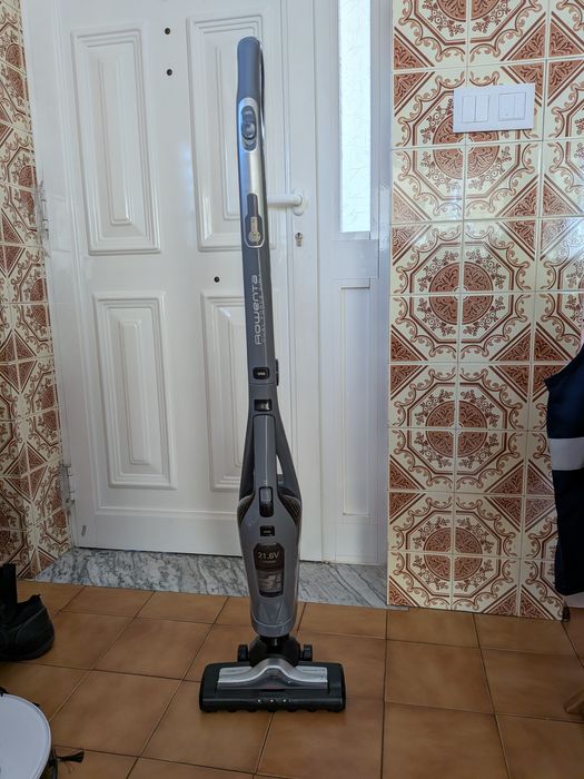 Aspirador Vertical ROWENTA Dual Force RH6756WO (21.6 V - Autonomia: 45 min - 600 ml)