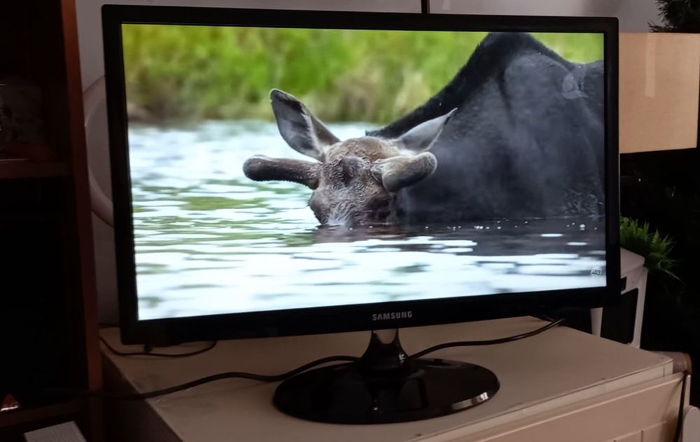TV Samsung pequena 24 polegadas com comando