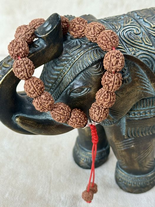 Bransoletka Mala z Rudrakshy 5 Mukhi rozmiar 17,5-24cm