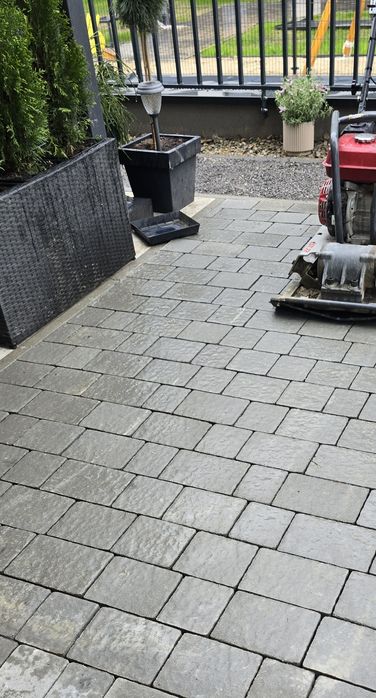 OGRODY  Nasadzenia Lublin Tuja szmarag d