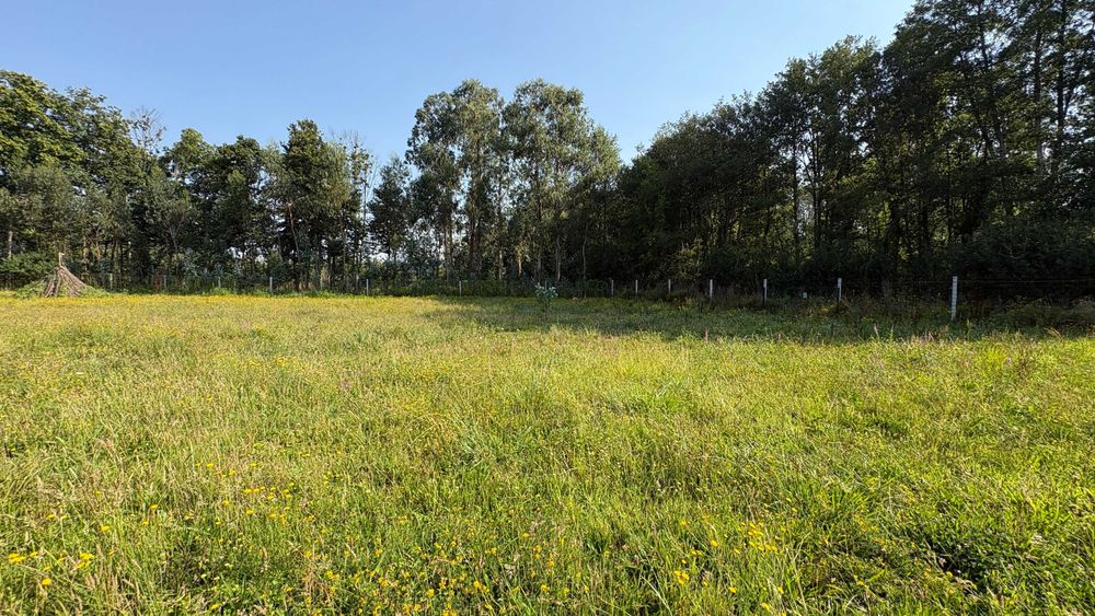 Terreno Rustico em Sandiães