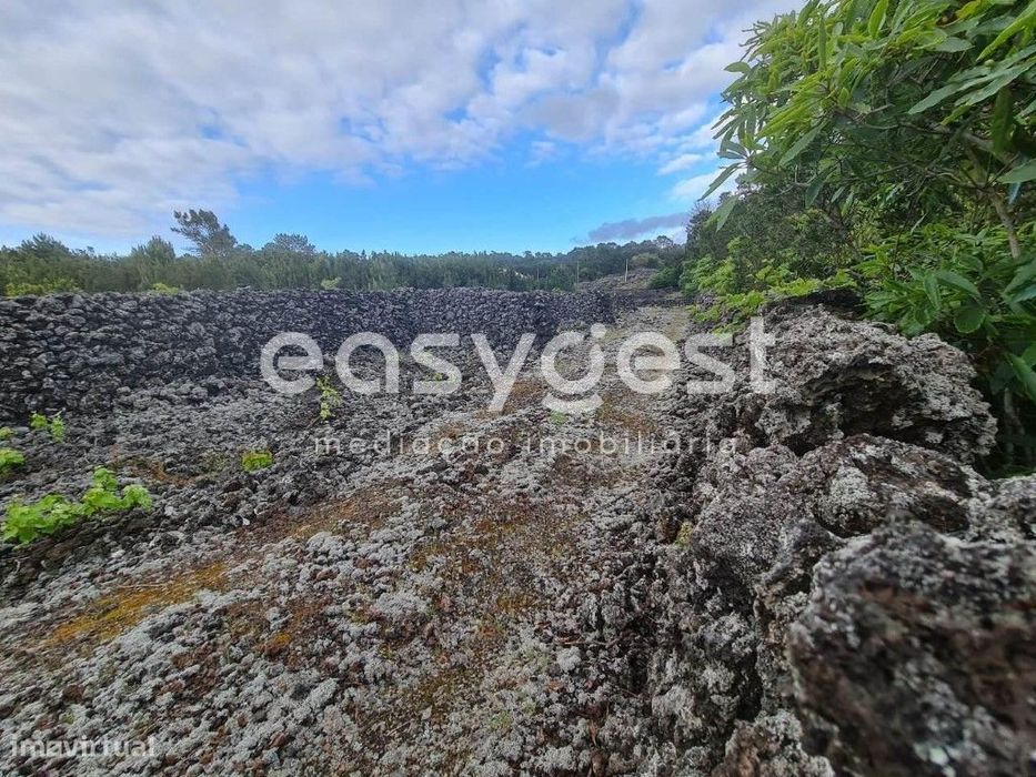 Terreno com 7000m2 na freguesia da Candelária, ilha do Pico