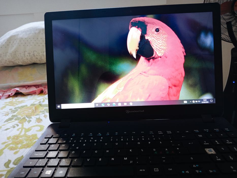 Packard bell portátil