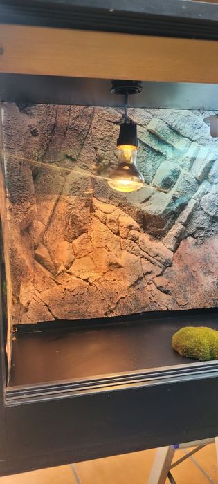 Terrarium 120x40