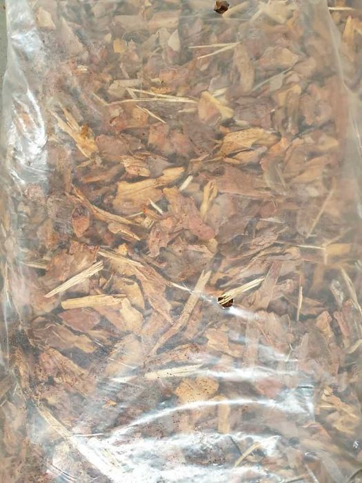 PIĘKNA Kora ŚREDNIA sosnowa sortowana worek 80L PRODUCENT drobna gruba