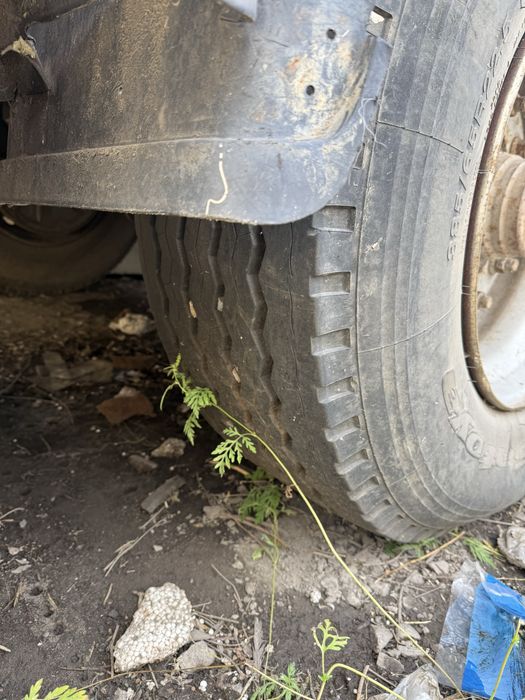 Прицеп маз платформа