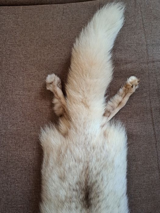 Комір. Хутро песця.