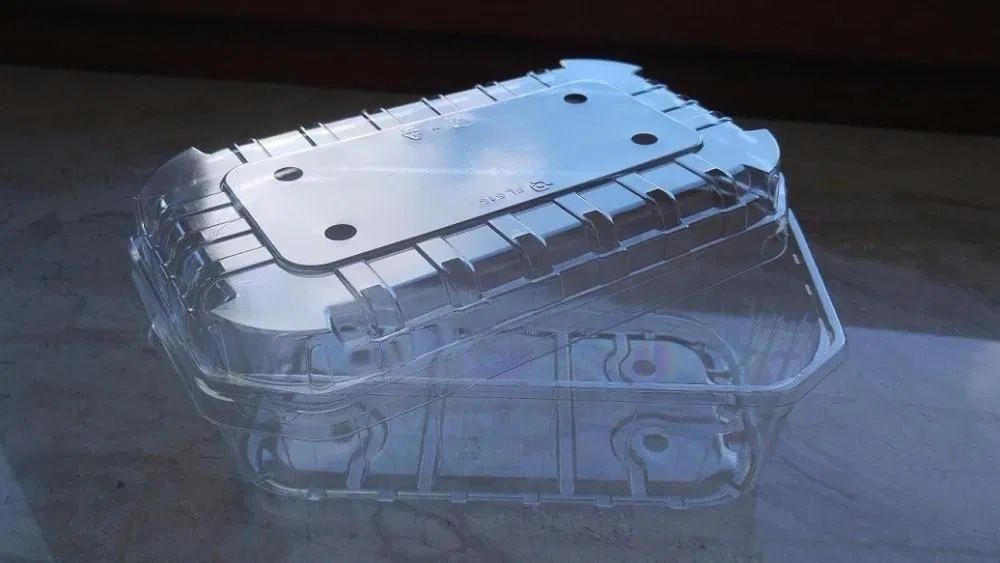 Pojemniki 1000g na owoce, grzyby 1kg, opakowania, punets