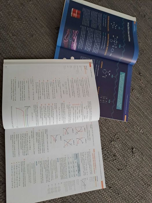 Manual de Quimica  e Caderno de Exercícios 11 ano (2025)