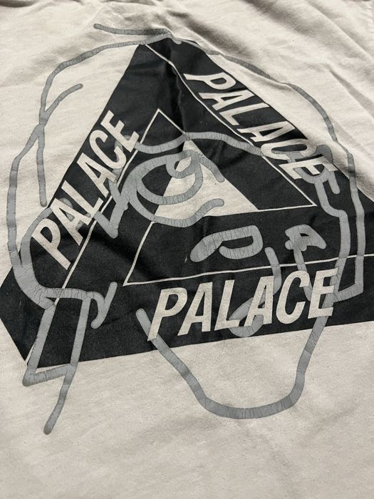 Palace x arcteryx футболка