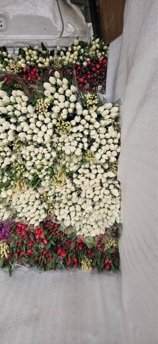 Тюльпани на 14 лютого