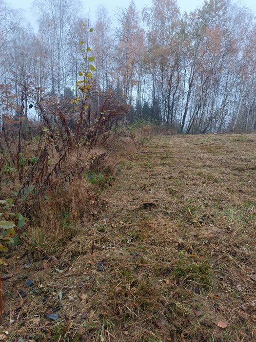 Koszenie nieużytków trawy, bijakowa kosiarka, karczowanie, wycinka,itd