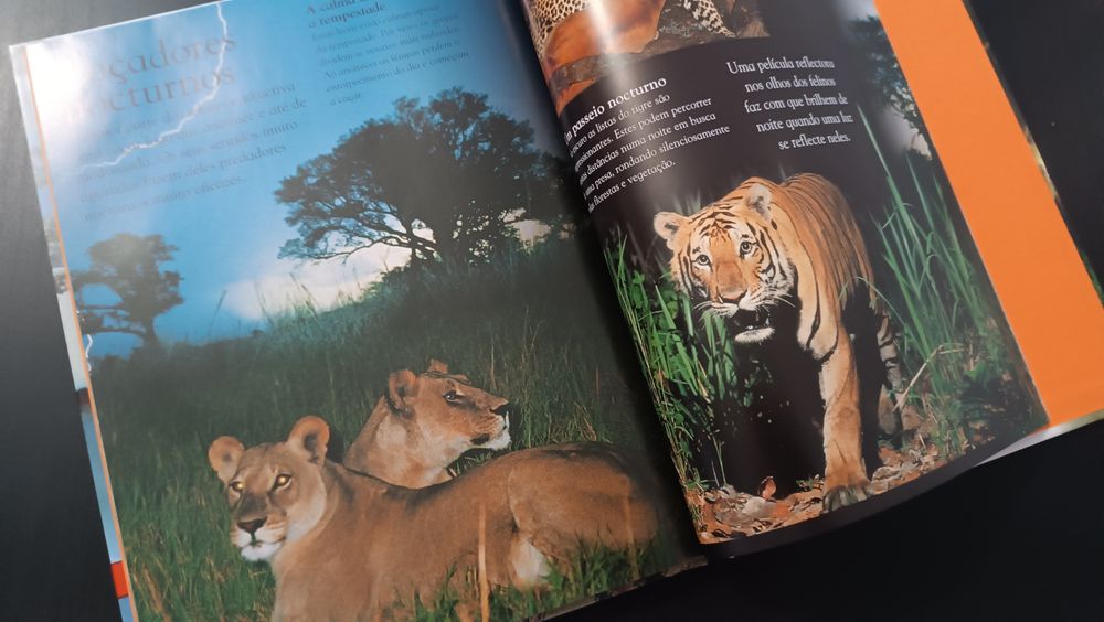 Livro Animais Grandes Felinos. Como Novo