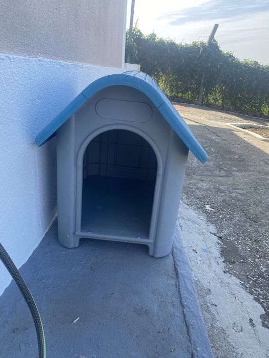 Casto para cão medio