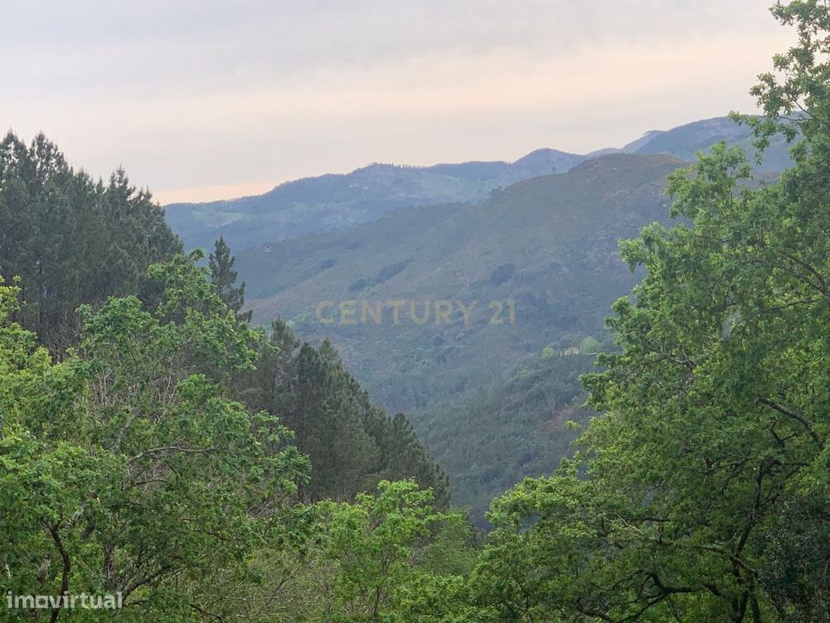 Magnifica quinta na Vila do Gerês com 33.000m2 de terreno..