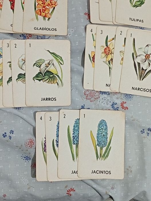 Quarteto de Flores jogo antigo