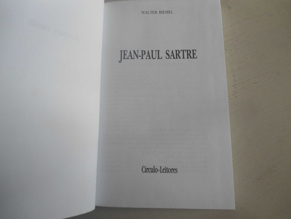 Sartre por Walter Biemel