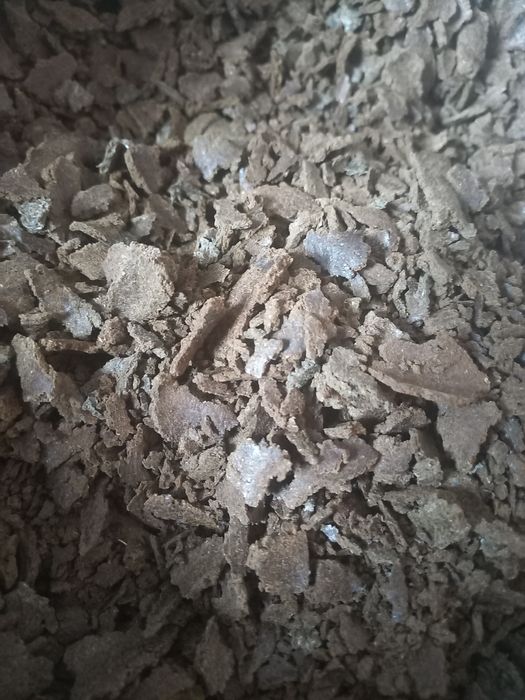 Макуха из подсолнечника . Жареная.