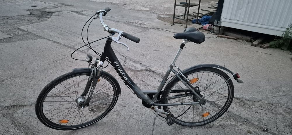 Rower Pegasus damka.