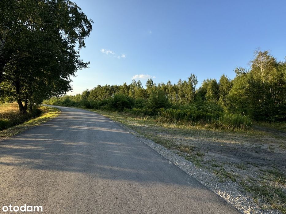 Sprzedam 27,72ara*Piechoty*przy drodze gminnej!