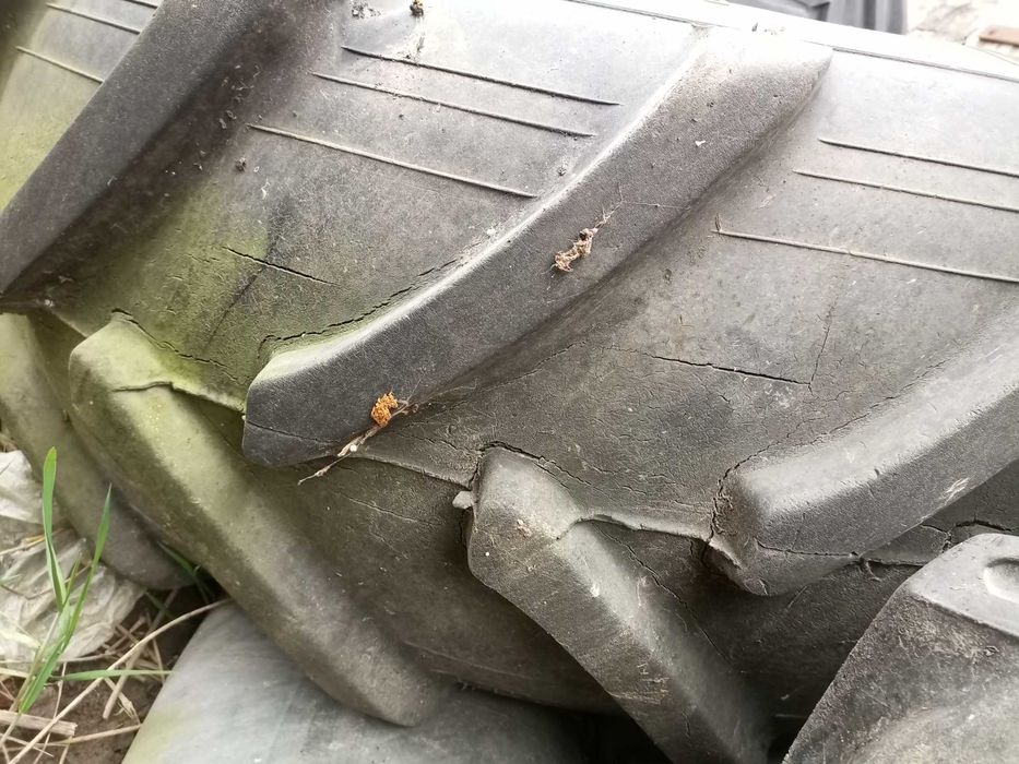 Шина 18.4-24 на комбайн