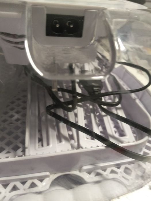 Chocadeira automática vira os ovos sozinha