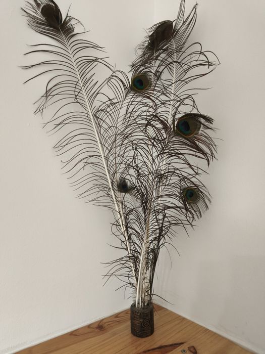 Decorativo novo com penas pavao