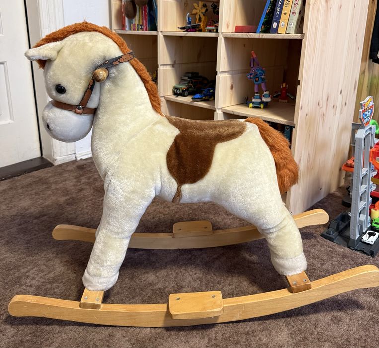 Konik na biegunach
