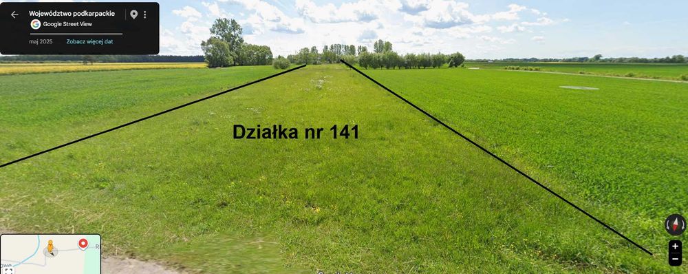 Działka 44 ary - Kliszów gm. Gawłuszowice - Widok 4