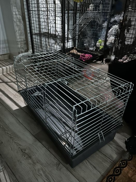 Клітки для гризунів , тхорів, крис