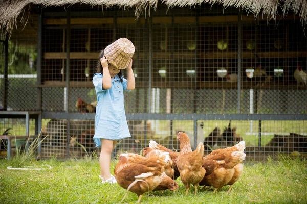 Продам курей! Доставка безкоштовна!