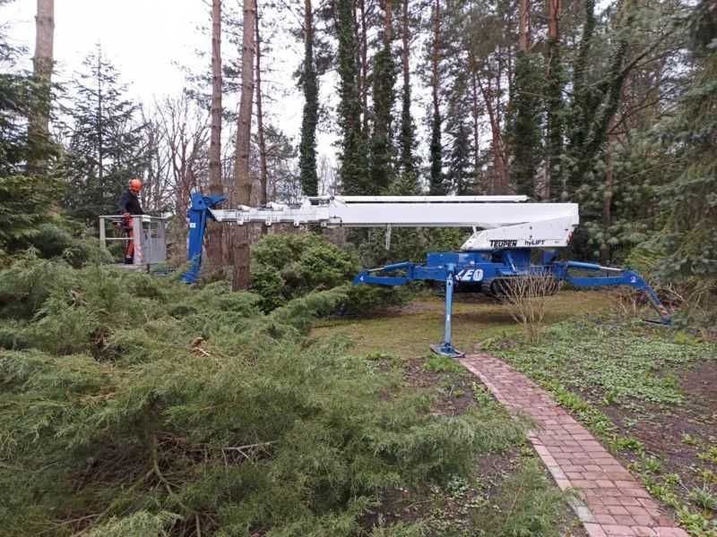 Wycinka drzew, rębakowanie gałęzi, podnośniki koszowe do 30 m