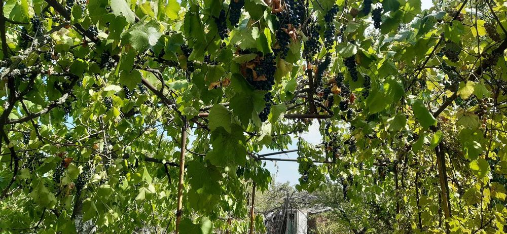 Ділянка у районі Шкільній