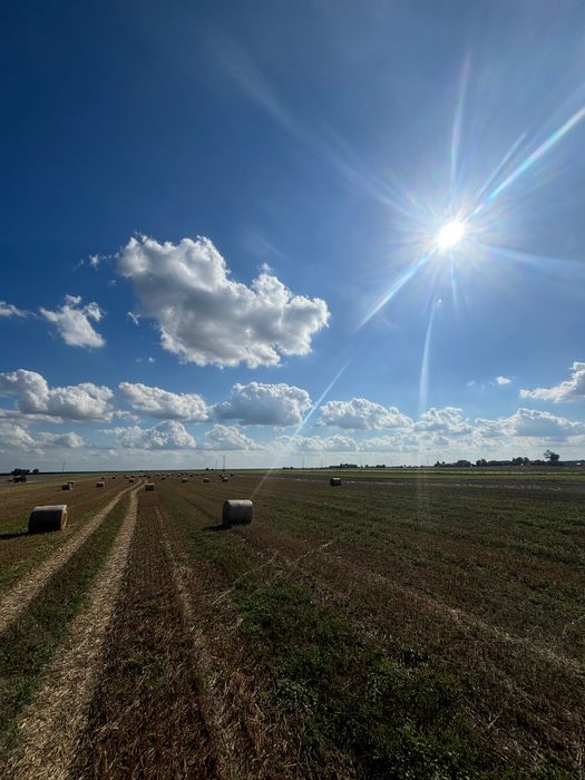 Agroturystyka pod Lasem