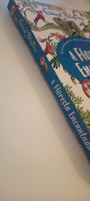 Livro "A Floresta Encantada", de Enid Blyton